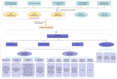 Gene4PD: A Comprehensive Genetic Database of Parkinson’s Disease